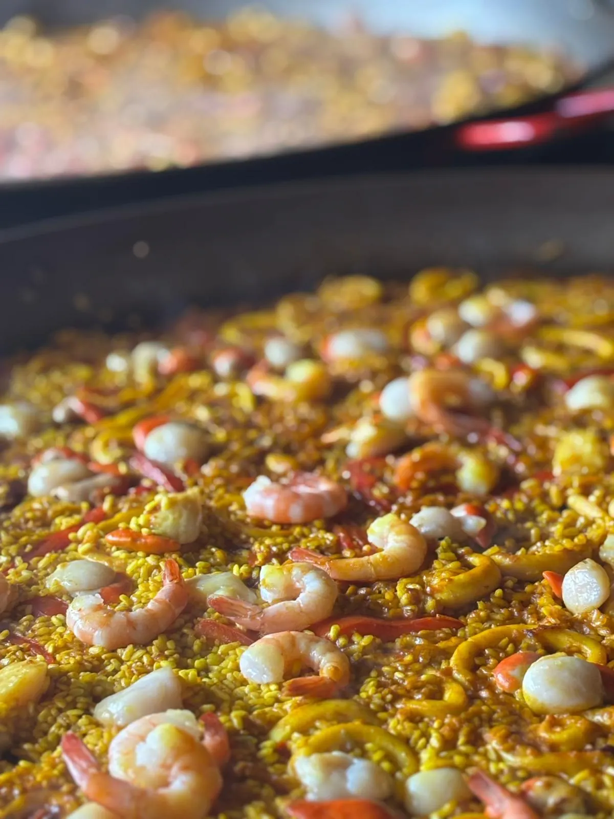 Freshly served Tasmanian seafood paella with prawns